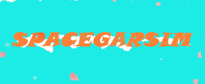 SPACEGARSIM