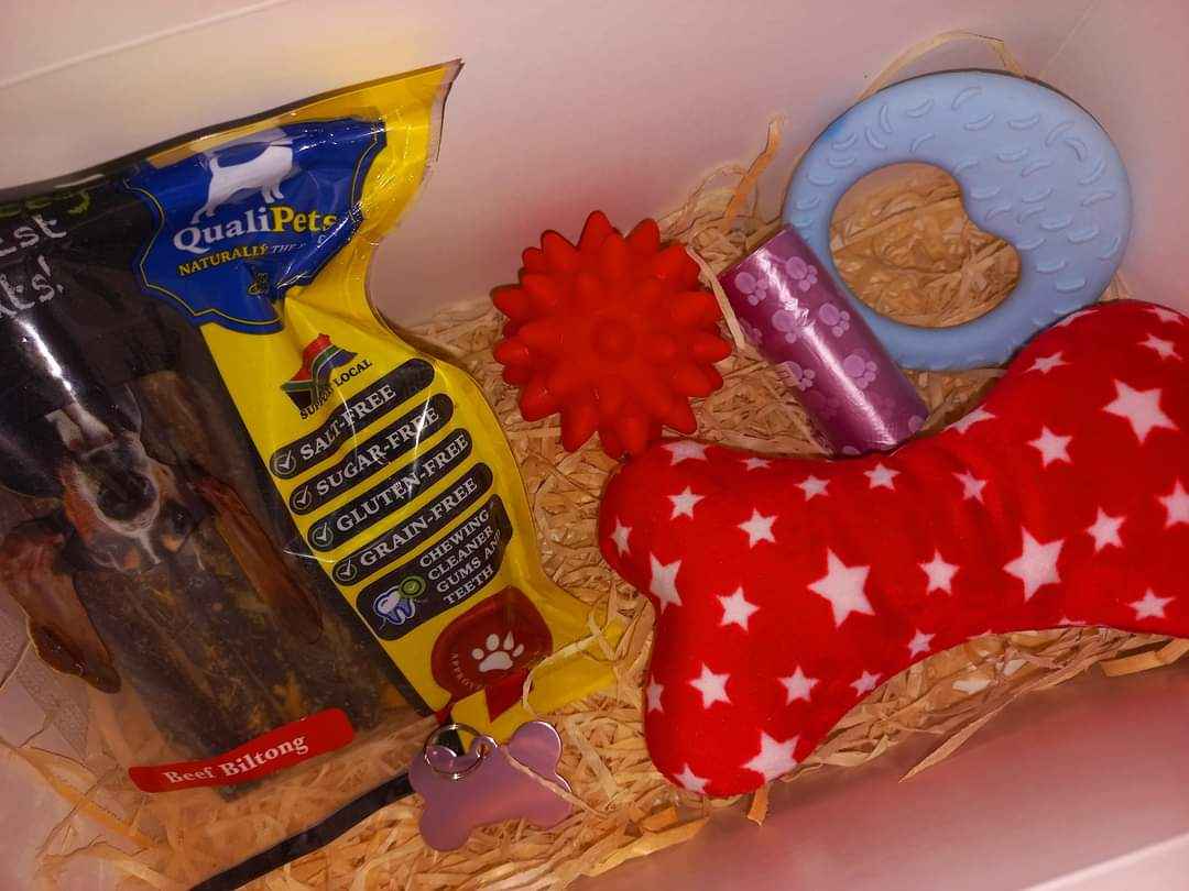 Doggie Gift Boxes
