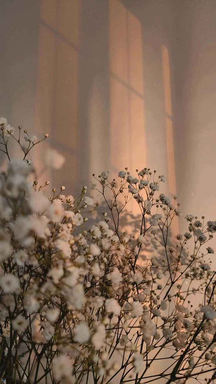 Saadiqa Abrahams MakeupArtistry