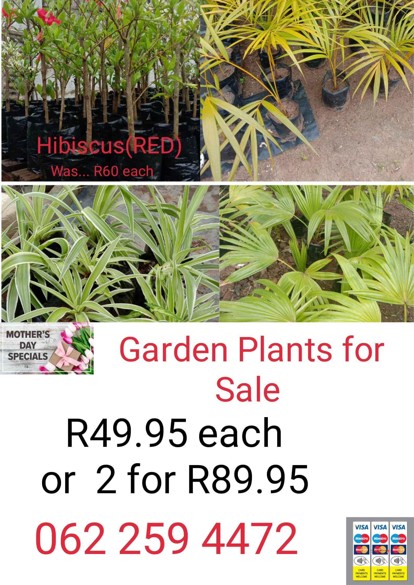 Garden Plants