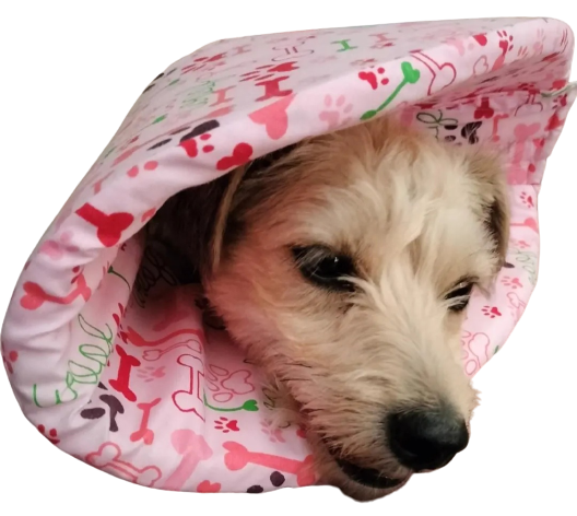 Cosy Recovery Cones 15cm