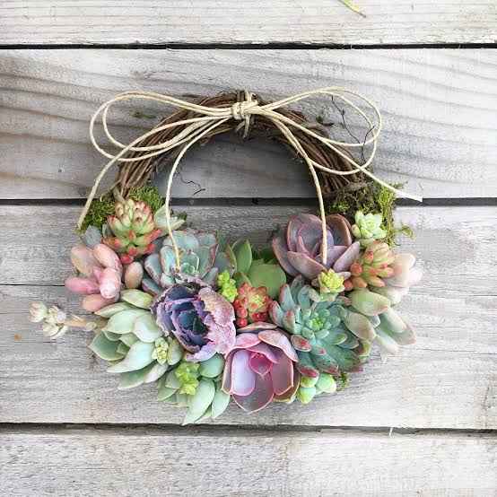 Succulent Pixie Wreaths - Set of 3