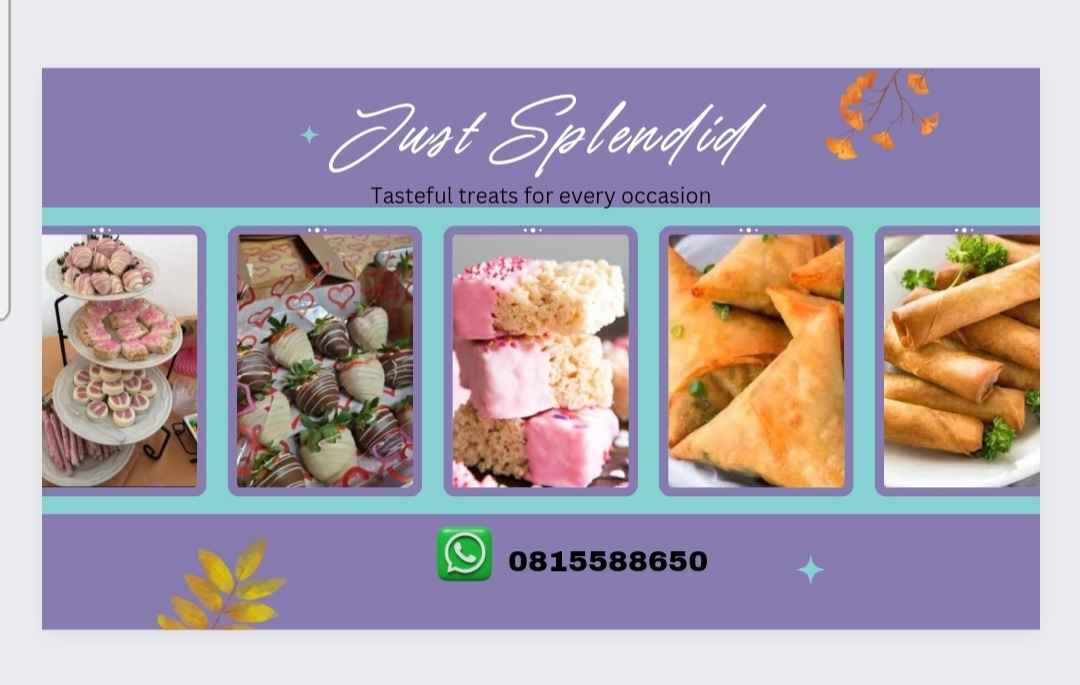 Samoosa and spring roll 