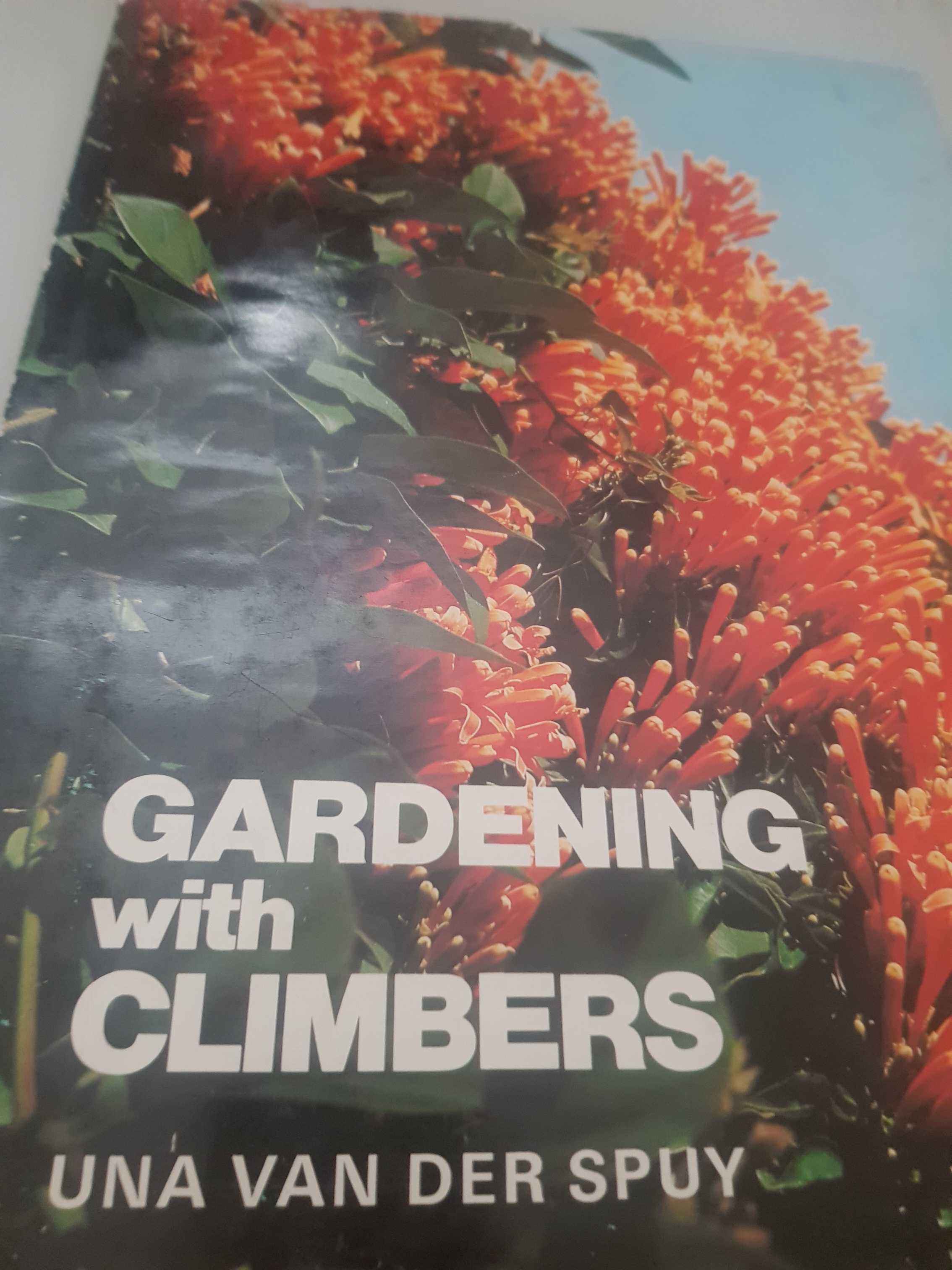 Gardening  with climbers