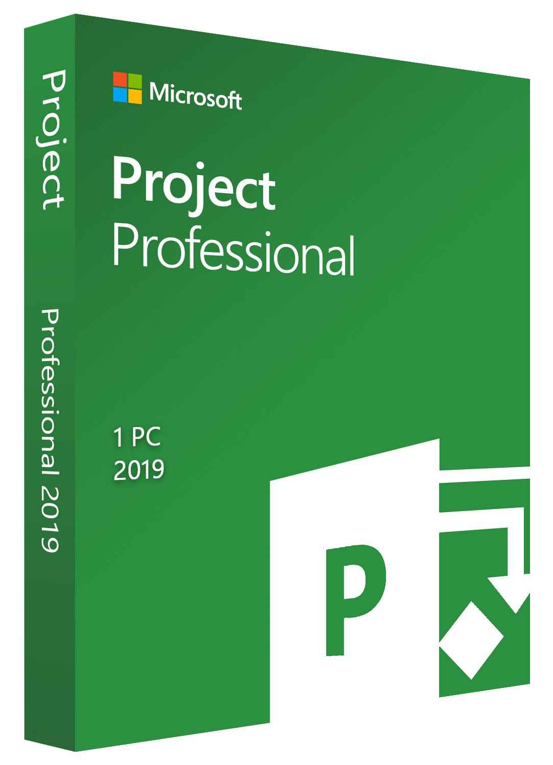 Microsoft Project Professional 2019