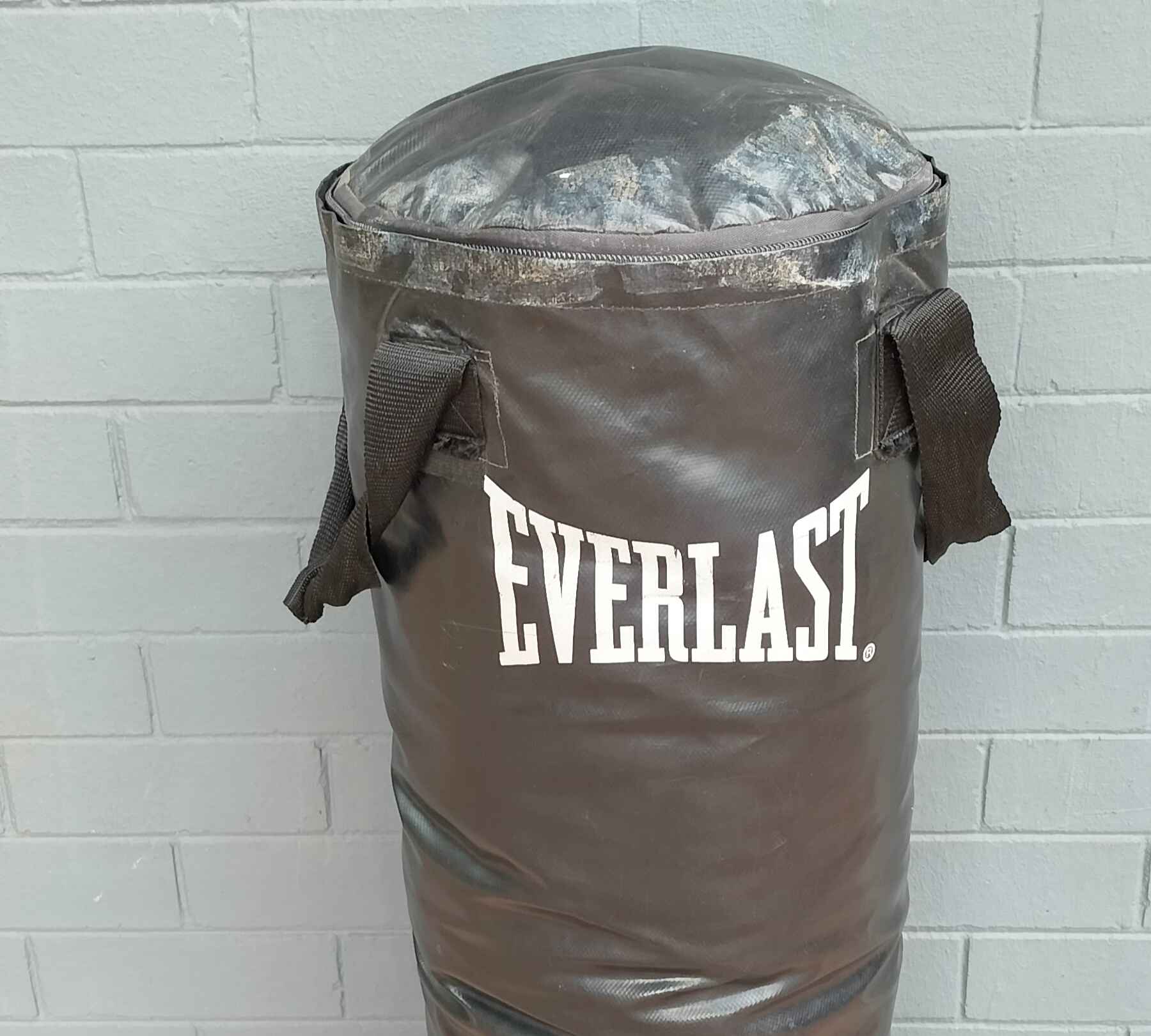 Everlast Boxing Bag