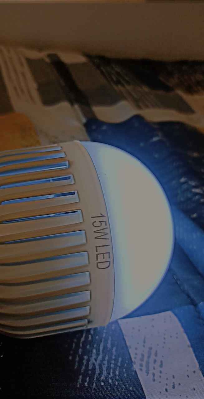 LED loadshedding bulb