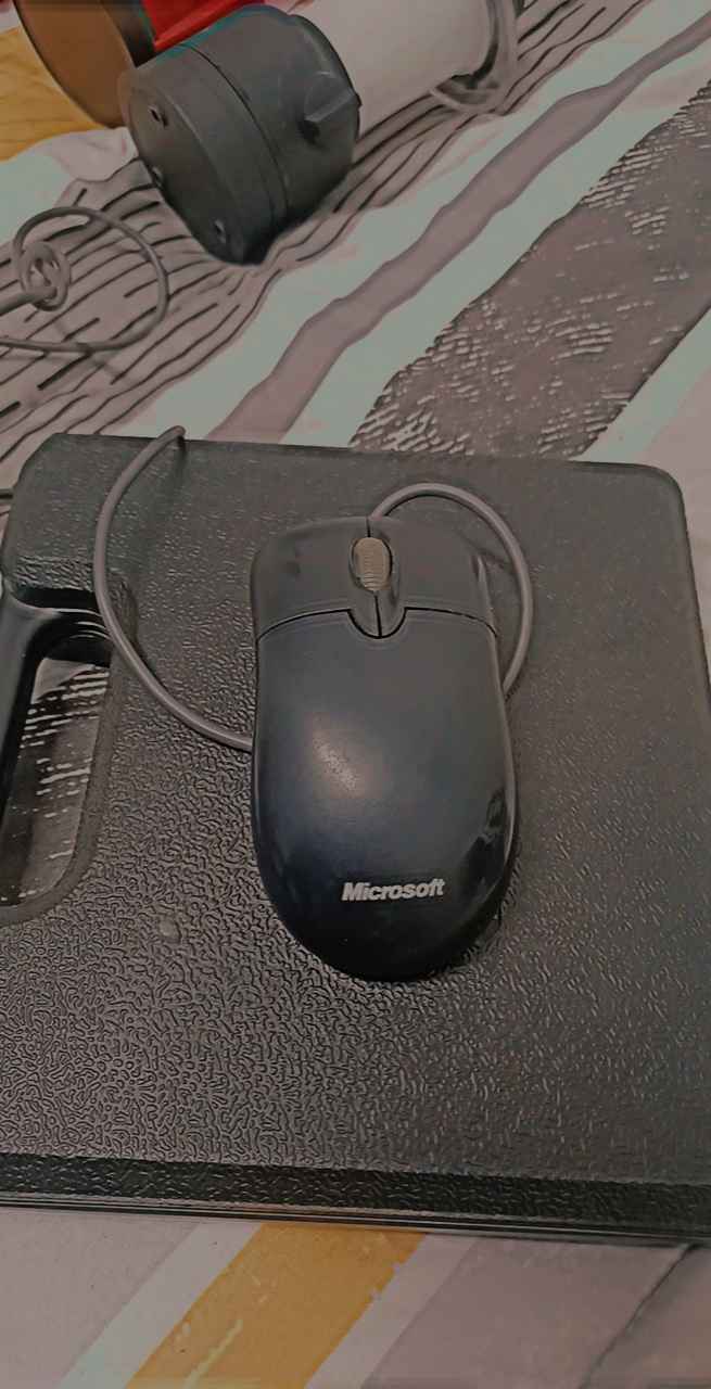 Microsoft mouse
