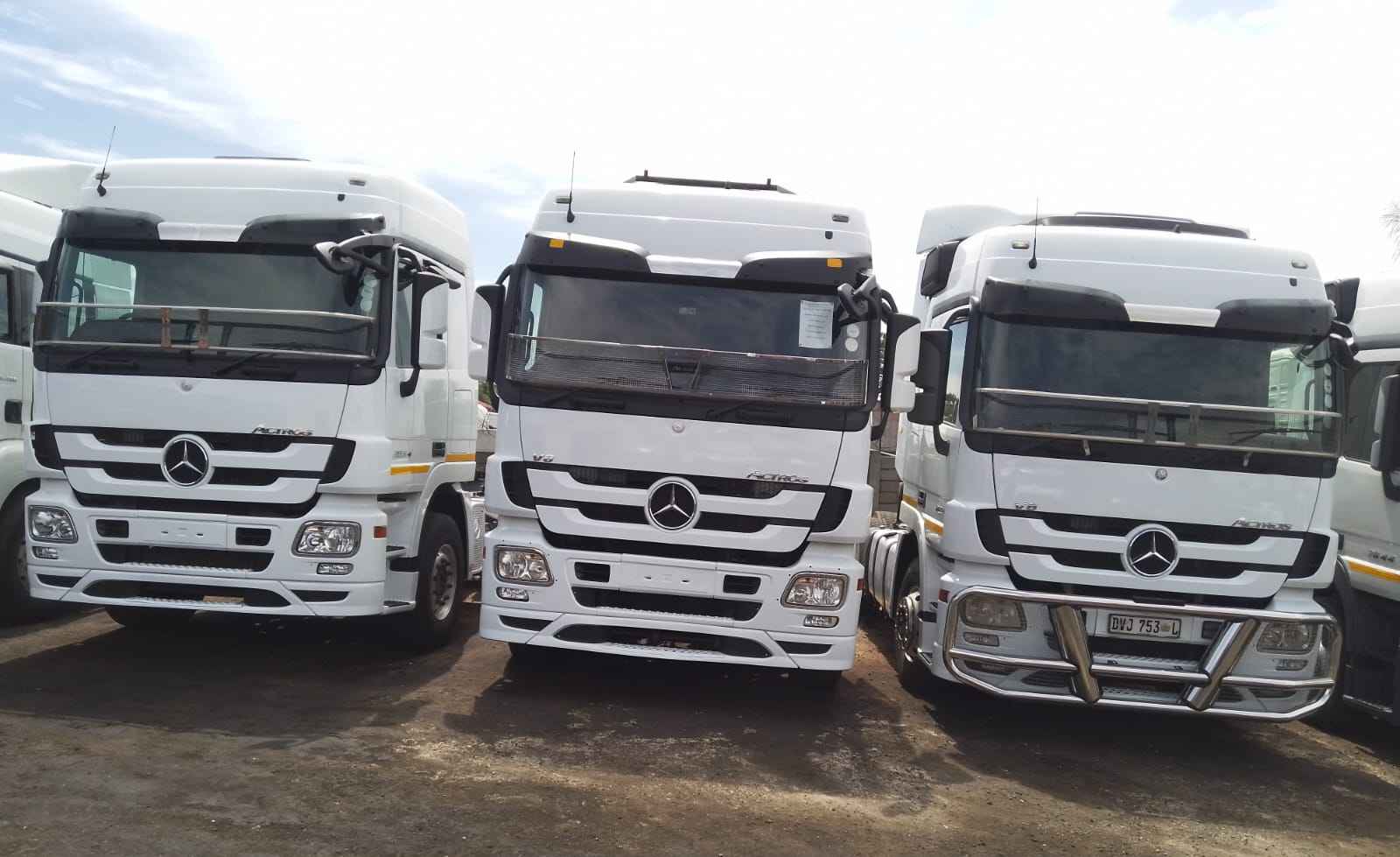 MERCEDES BENZ ACTROS 2654 HORSES
