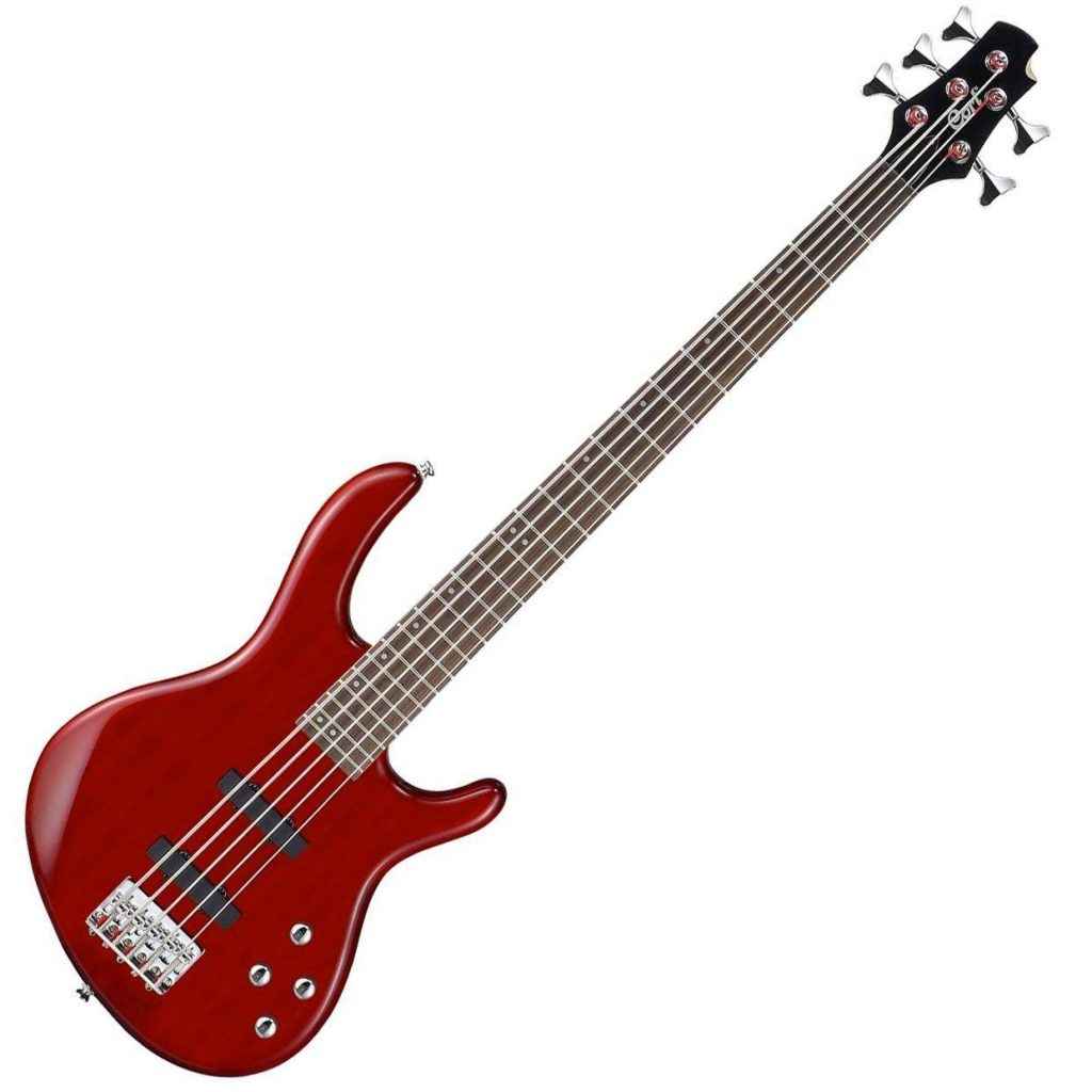Cort 5 string bass guitar