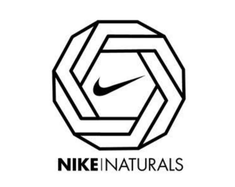 Air Jordan 1 Retro OG