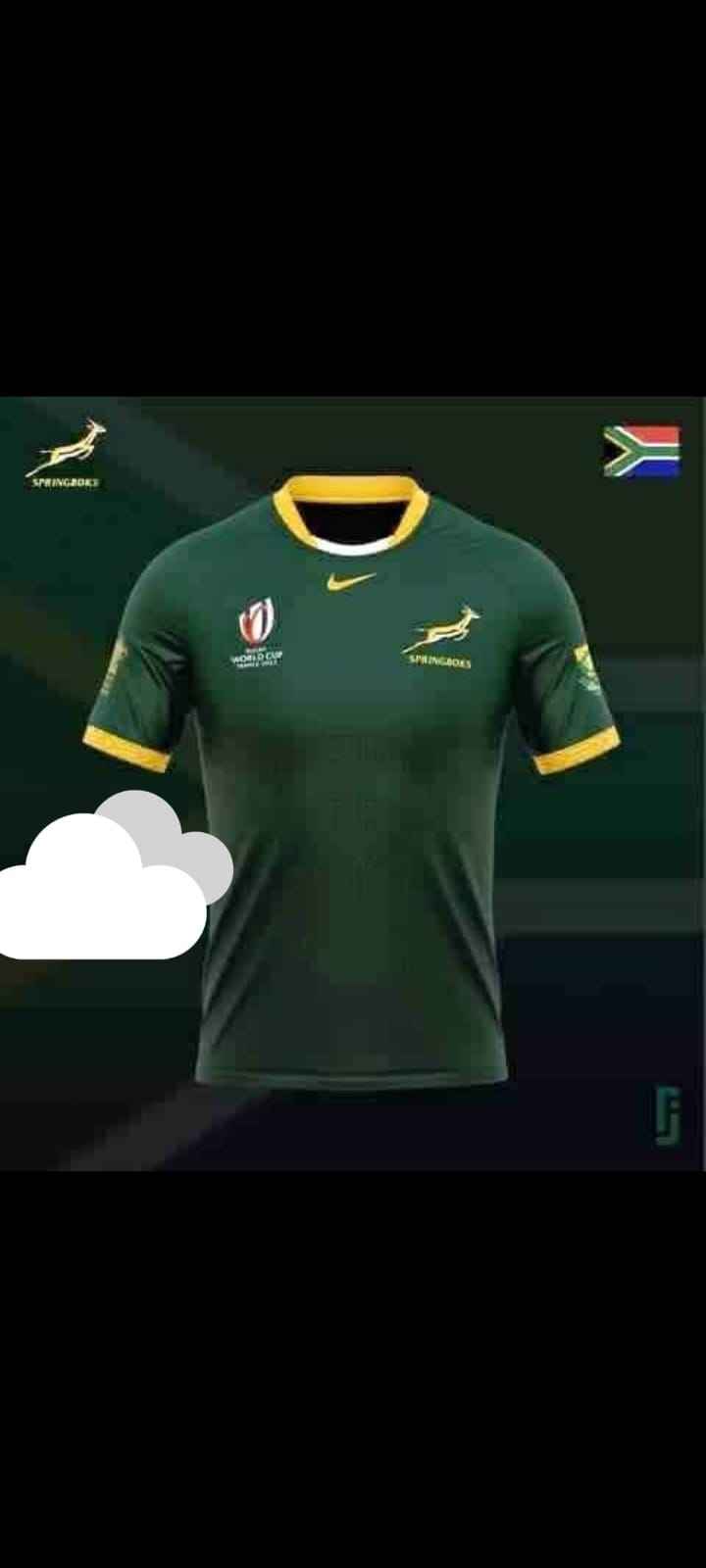 rugby springbok Tshirt 