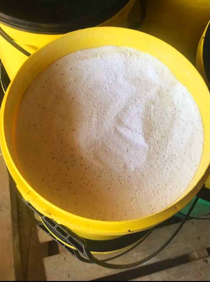 Washing Powder Auto & Handwash 50kg