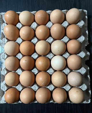 Jumbo Eggs