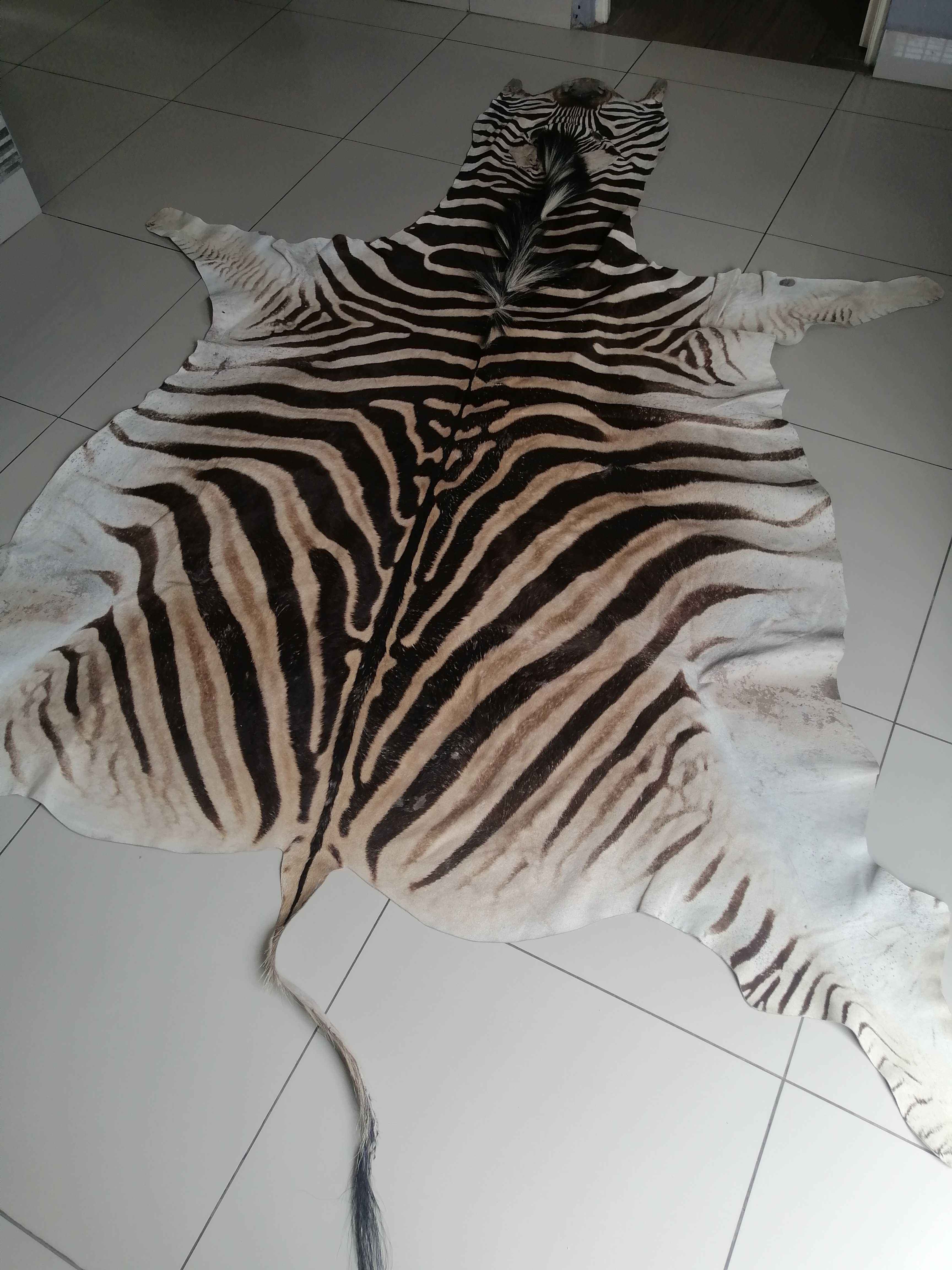 Zebra leather rug