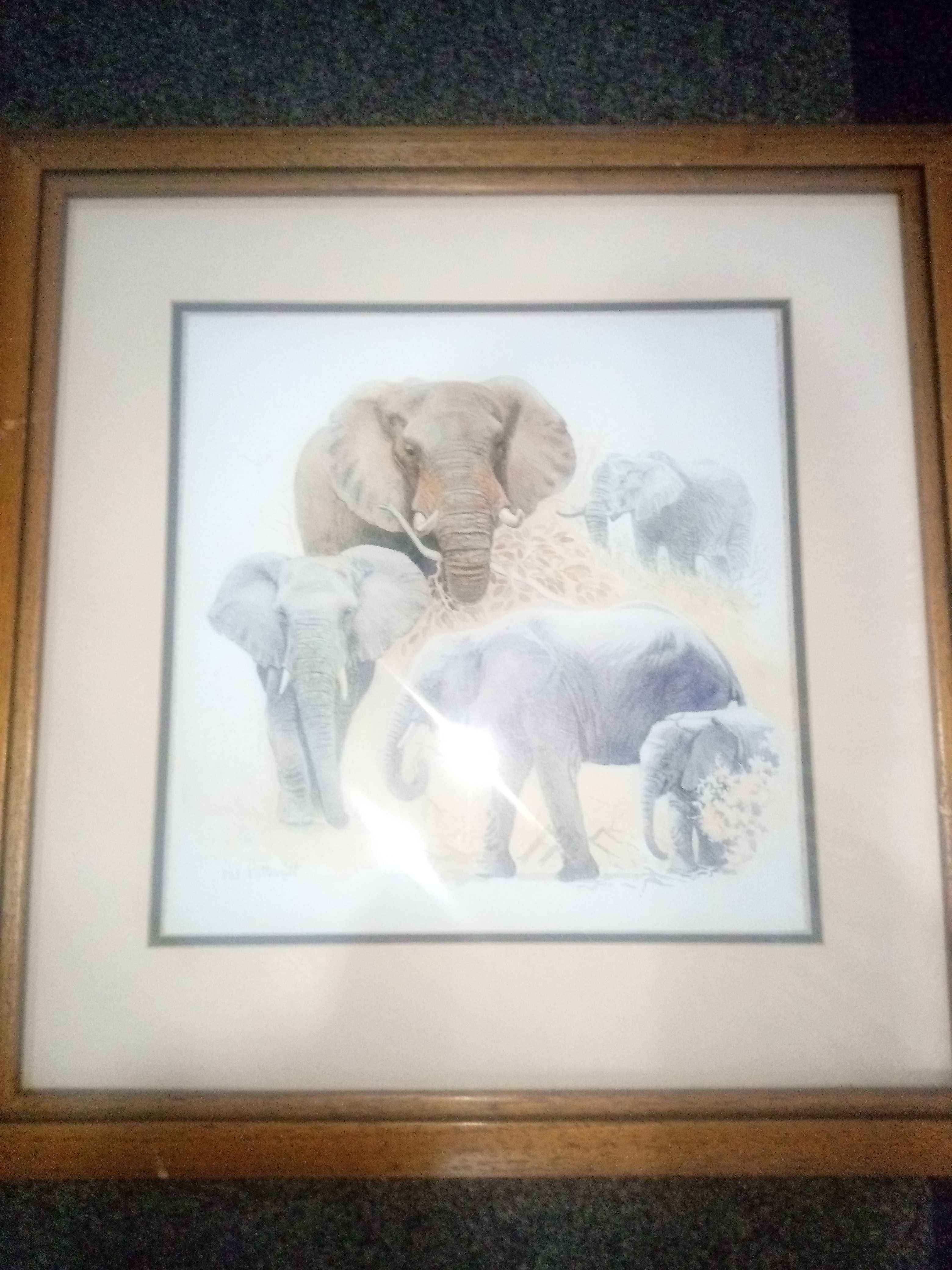 South Africa Big 5 paintings 