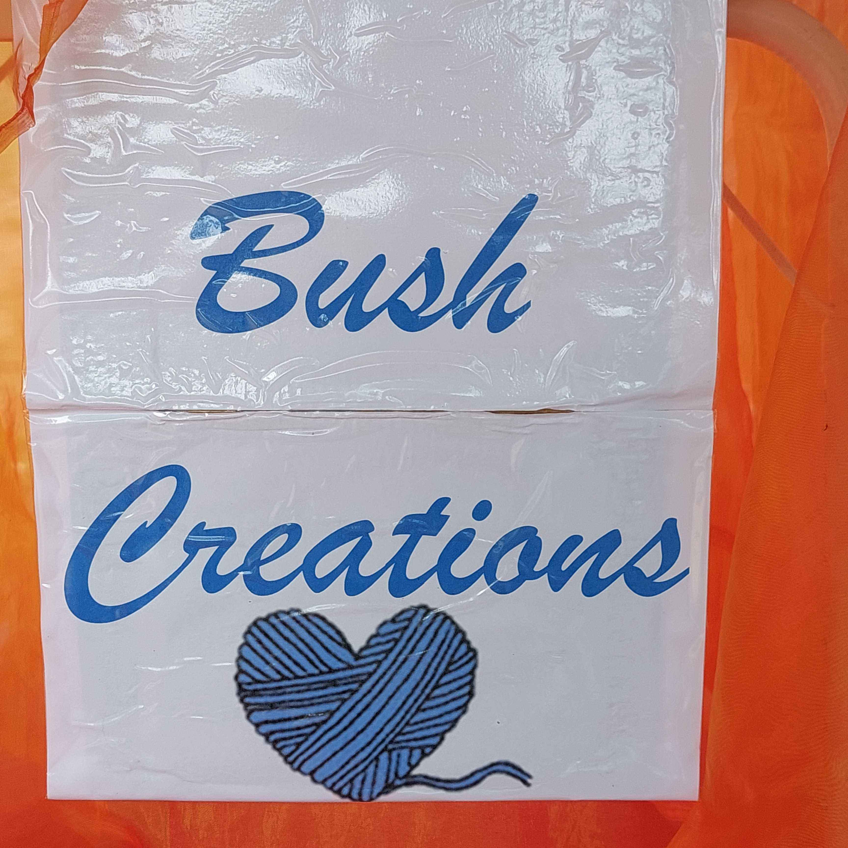 Janita van der Merwe