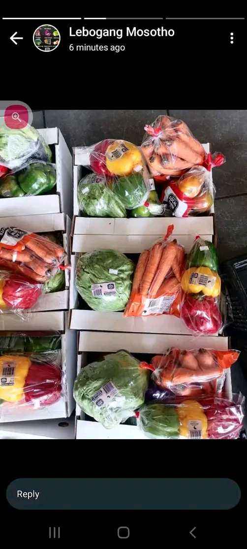 Vegetables