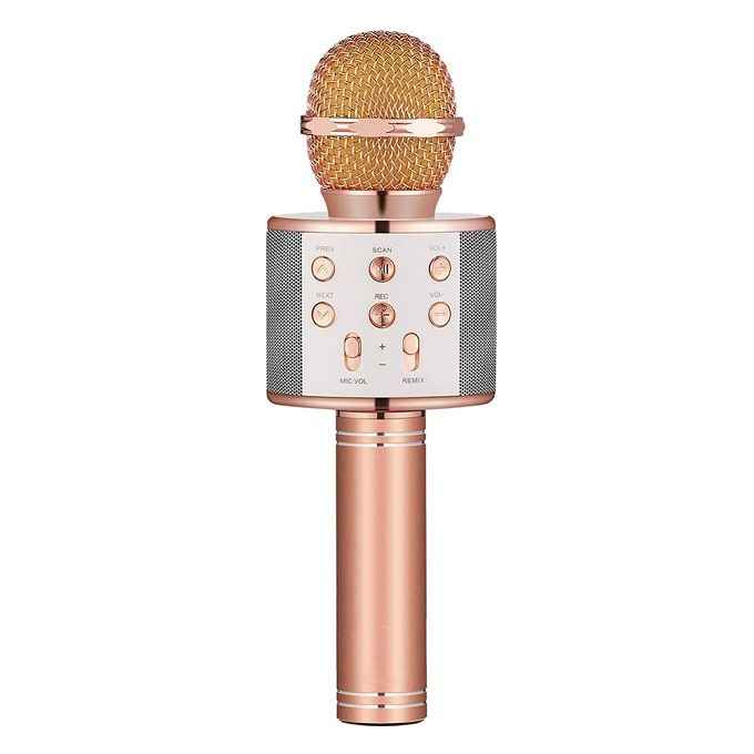 MICROPHONE SPEAKER