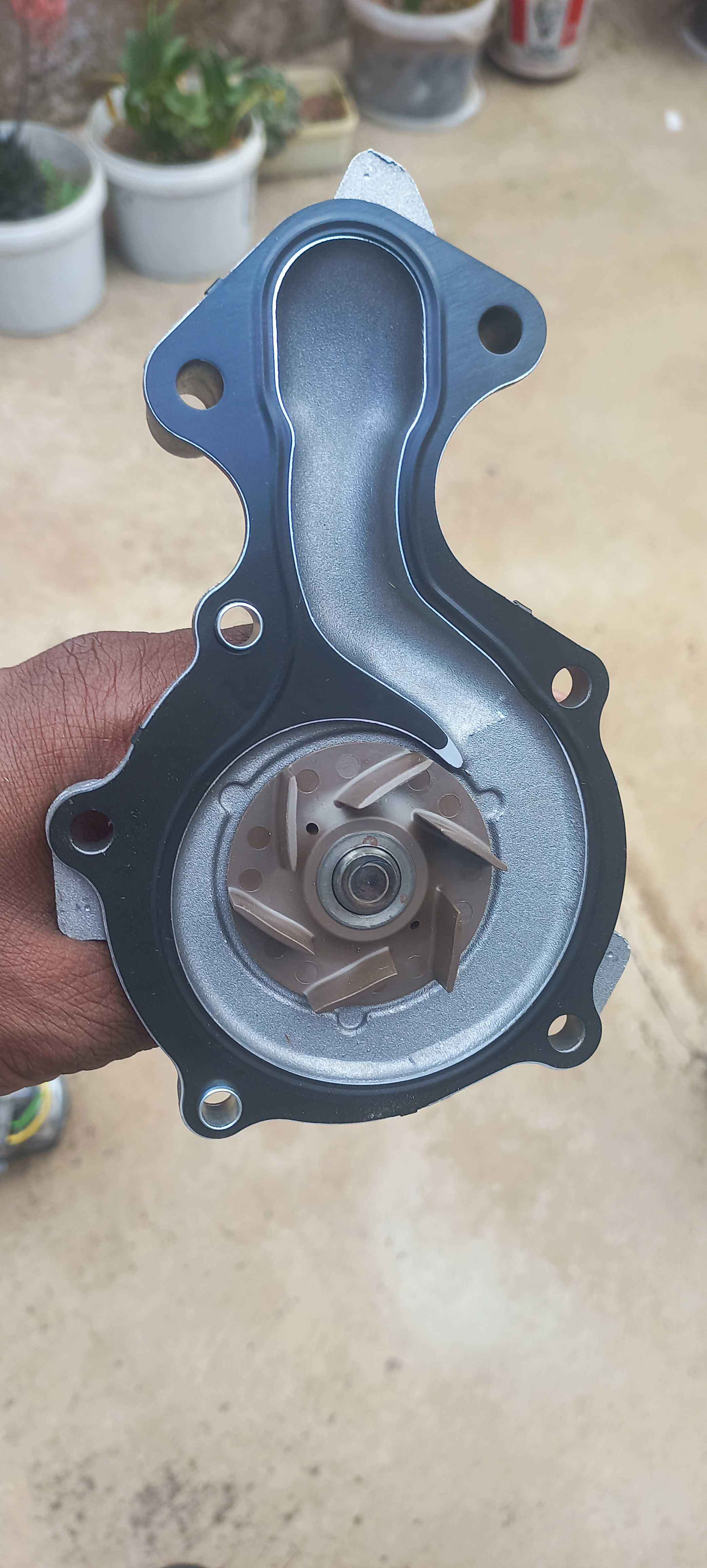 Fiesta water pump