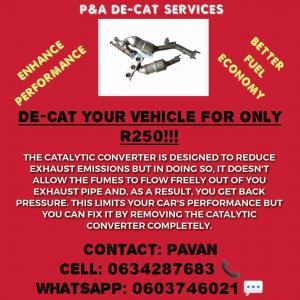 DE-CAT YOUR VEHICLE FOR ONLY R250!