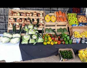 Fruits and Vegetables