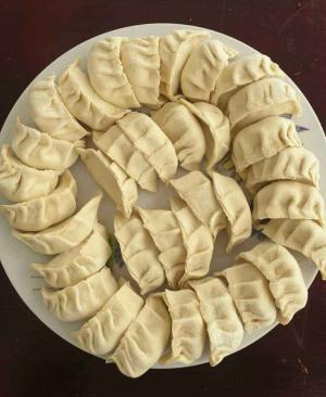 Vegetable Potstickers