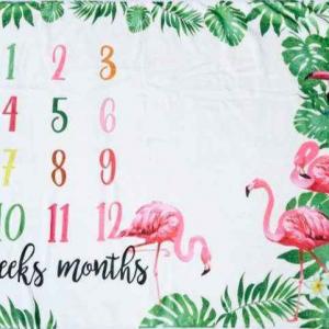 Flamingo Milestone Blankets