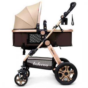 2 in 1 Stroller