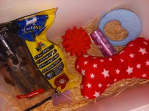Doggie Gift Boxes