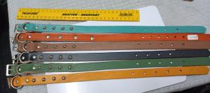 Dog Collars