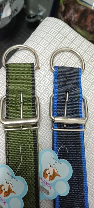 Dog Collars