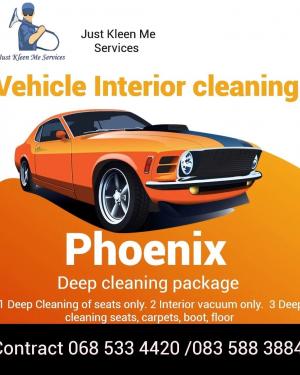 Auto interior cleaning