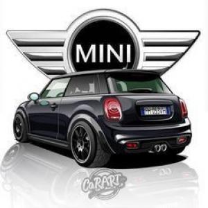 Mini Cooper  Spares