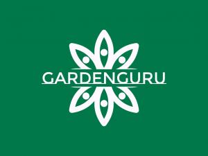 The Enlightened Buddah