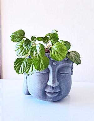 Buddah Planter