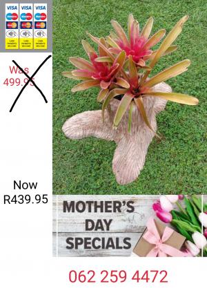 Custom hand crafted tree stump