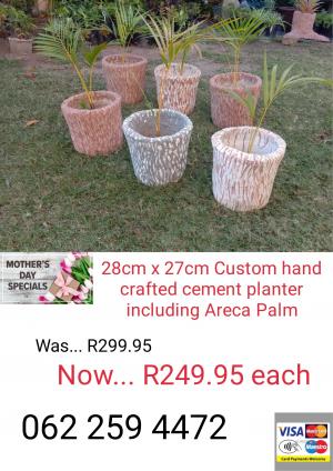 Custom hand crafted cement planters