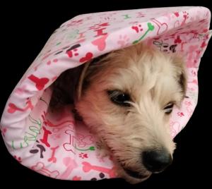 Cosy Recovery Cones 15cm