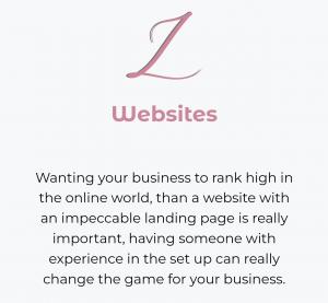 Website development and design