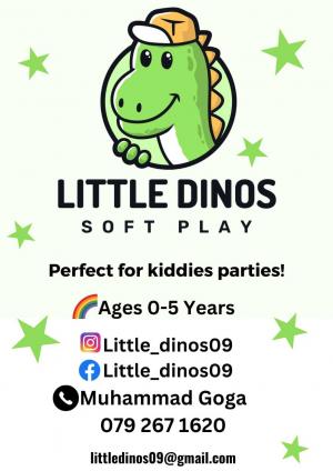 Little Dinos Softplay Hire