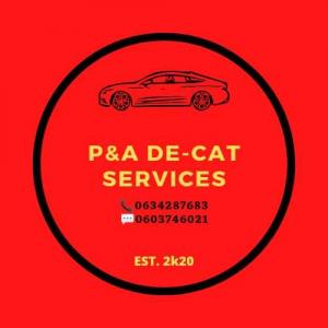 P&A DE-CAT SERVICES 