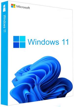 Microsoft Windows 11 Professional
