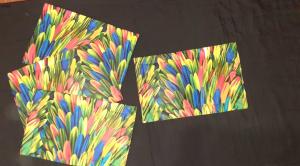 Elizabeth Anne Naidoo 