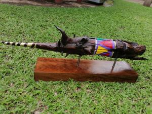 Sickle bush root trophy