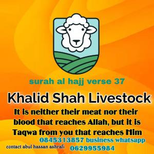 khalid shah livestock