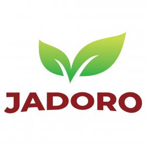 Nqobile Rebiditswe Lephoko