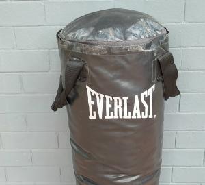 Everlast Boxing Bag
