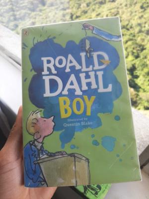 roald dahl boy
