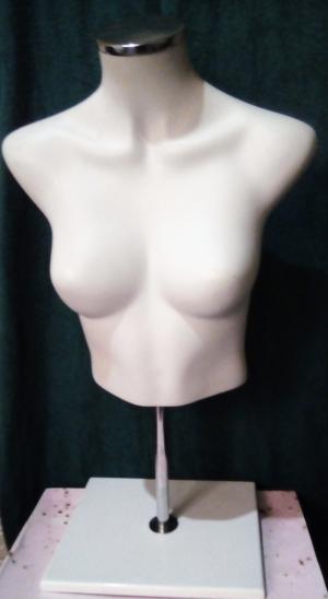 FEMALE TORSO